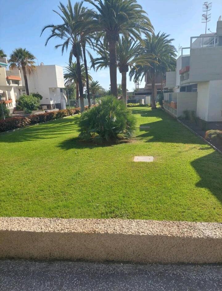 דירות לאס גלטאס Orita מראה חיצוני תמונה